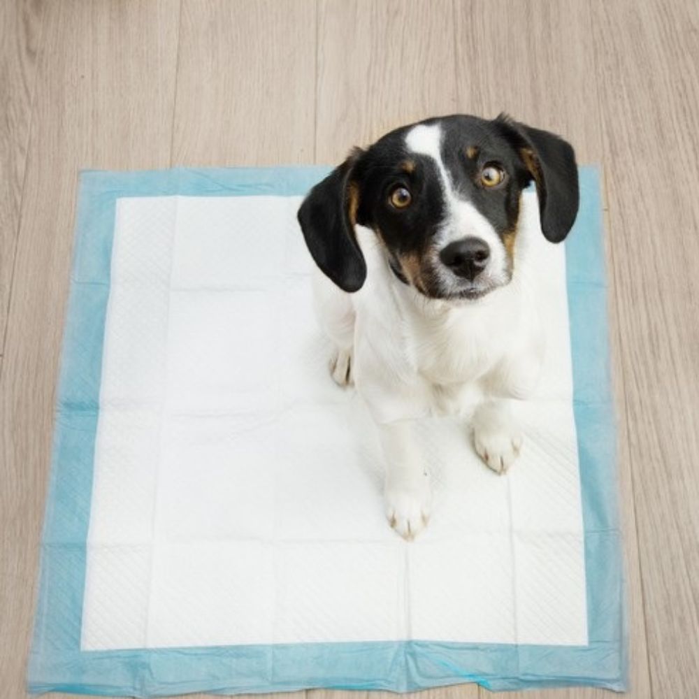 Еднократни хигиенни подложки за кучета 100 бр, размер 60х60 см