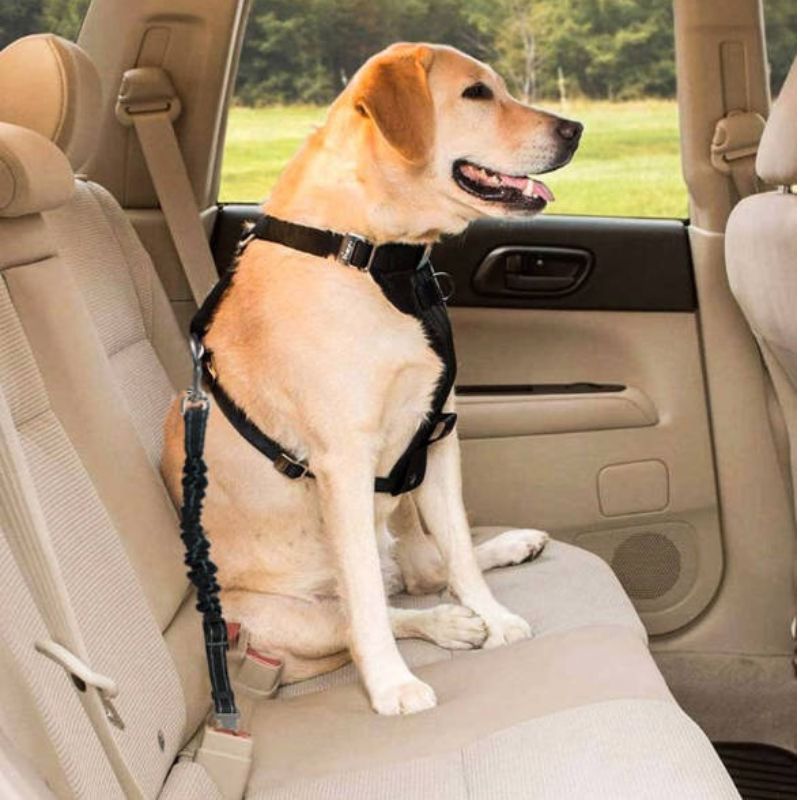 Предпазен колан за кола за куче