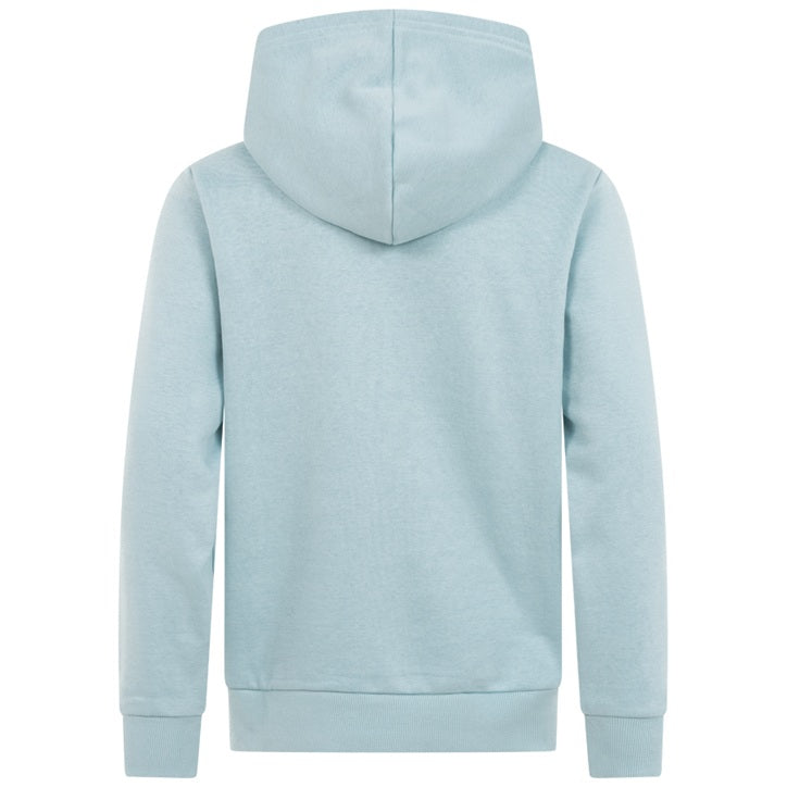 Детски суитчър с качулка PUMA POWER Colorblock, худи