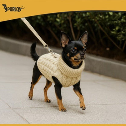 Дреха/ пуловер за куче или котка, плетиво, S размер, бежов