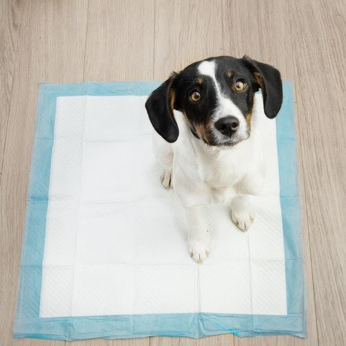 Еднократни хигиенни подложки за кучета 100 бр, памперси, размер 40х60 см